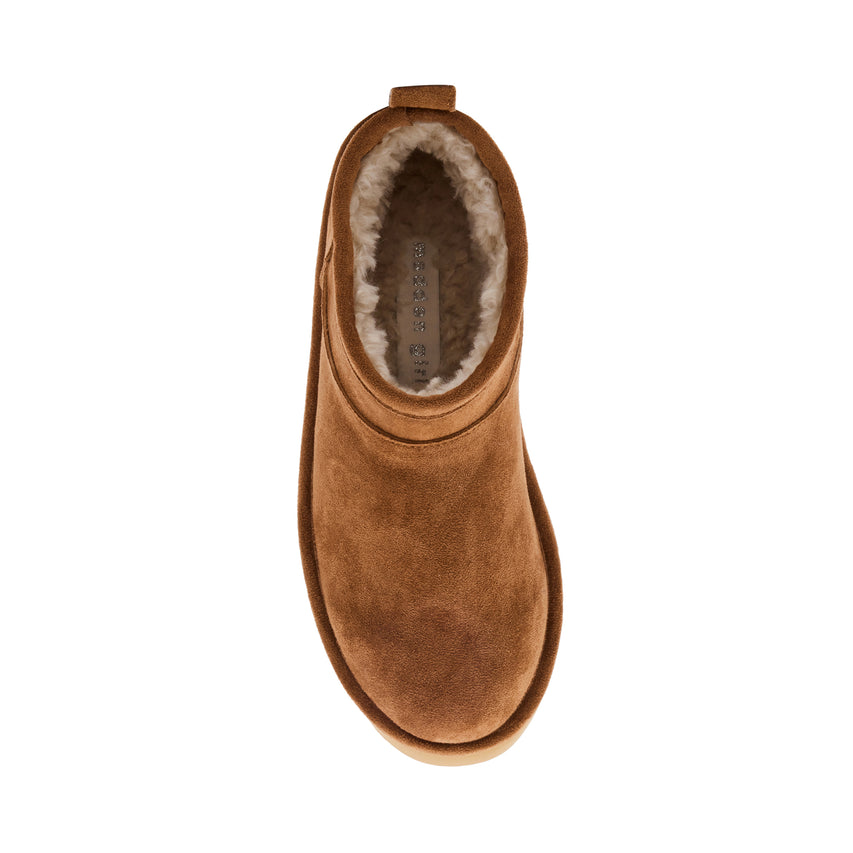 Zapatos Poweerr Café